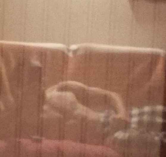 Profil de Renato, 26 ans, Site gay gratuit à Valeyres-sous-Rances (Vaud)